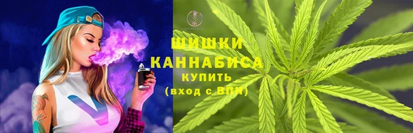 тгк Лагань