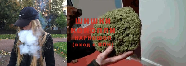 шишки Ладушкин