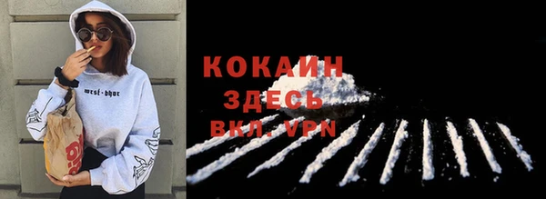 трава Белокуриха