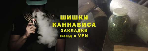 шишки Ладушкин