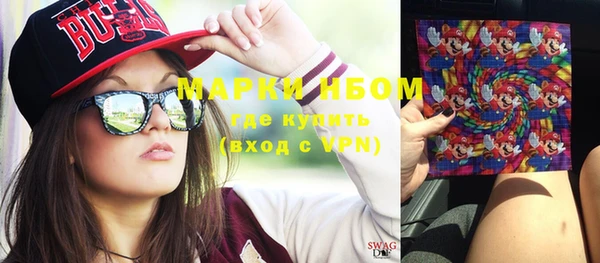шишки Ладушкин