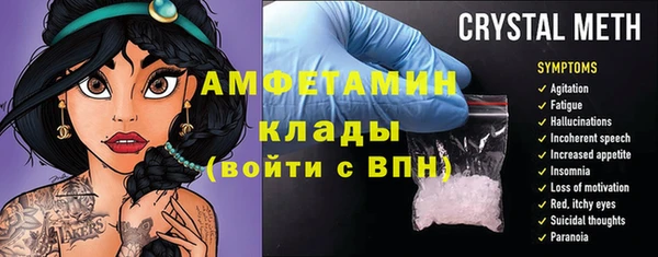 шишки Ладушкин