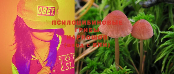 шишки Ладушкин